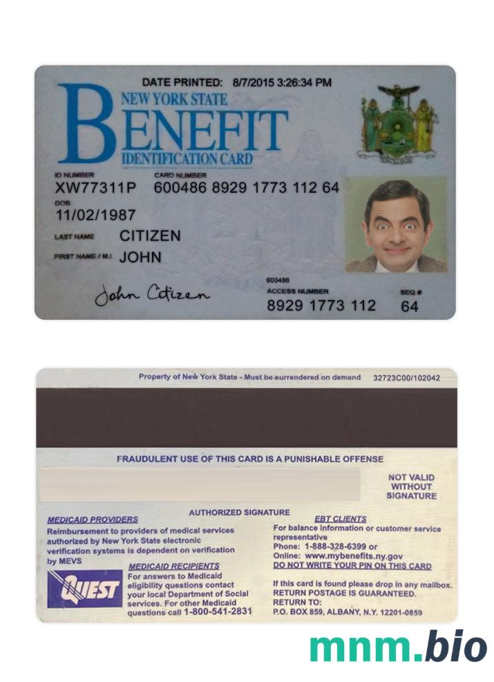 Przykład karty benefitowej stanu Nowy Jork (USA) w formacie PSD, w pełni edytowalny